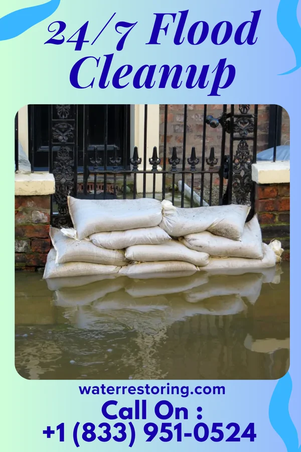 24/7 Flood Cleanup in Buffalo, IL