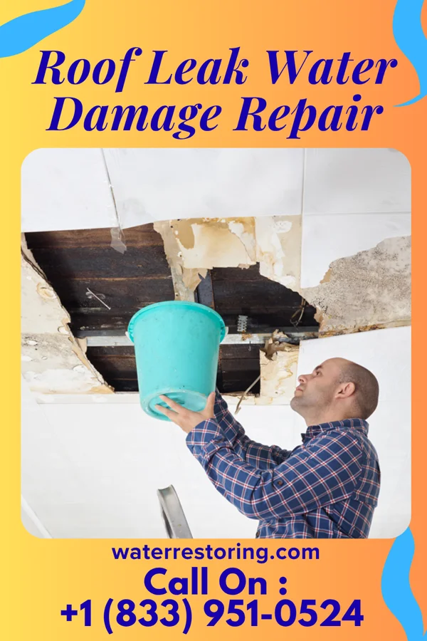 Roof Leak Water Damage Repair in Buffalo, IL