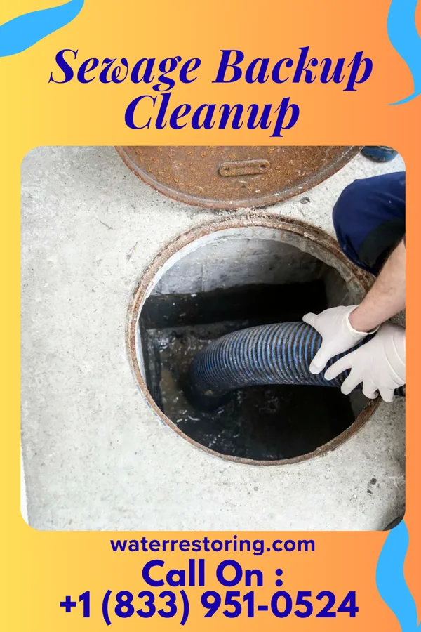 Sewage Backup Cleanup in Buffalo, IL